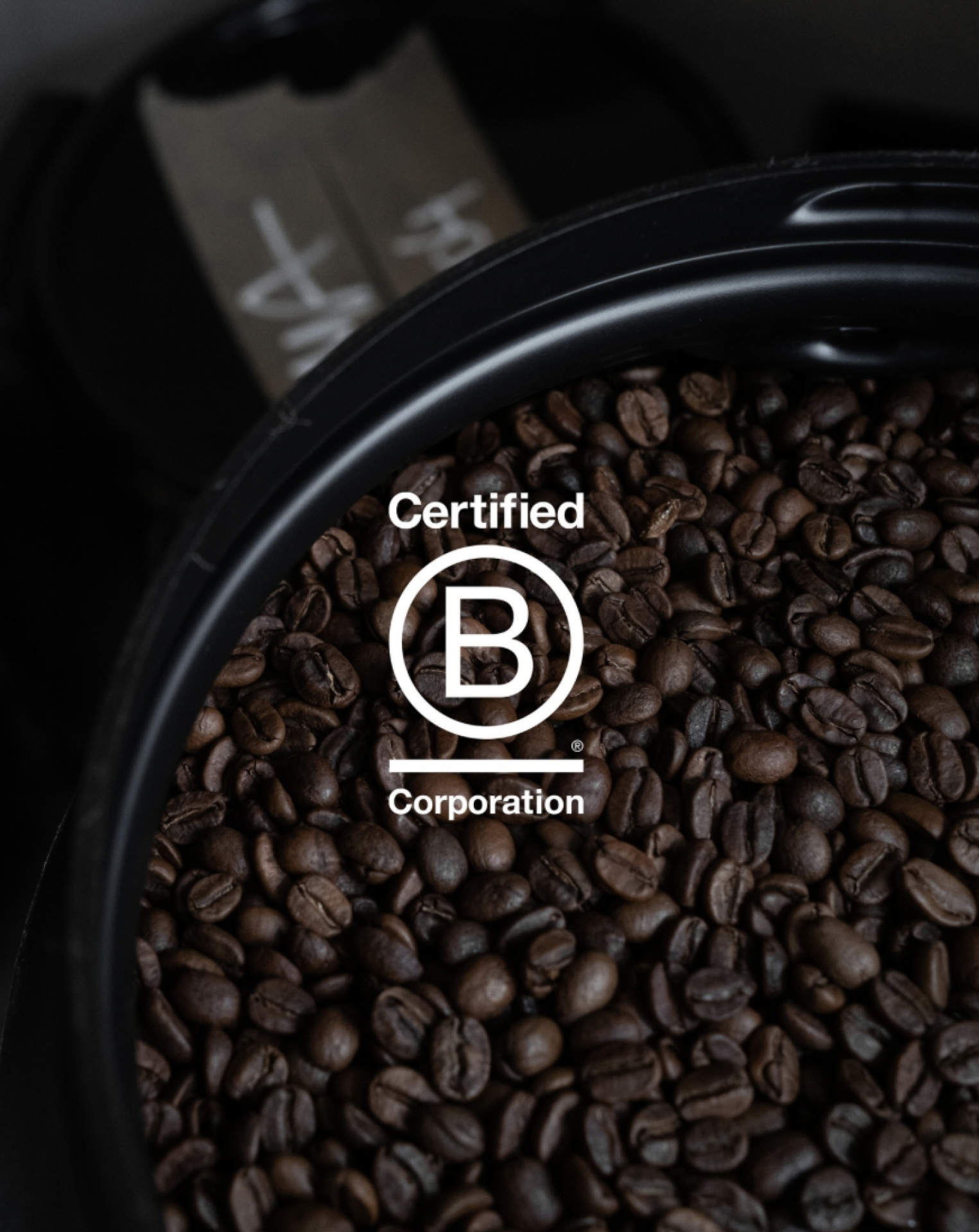 Entreprises et Labellisation B-Corp : Un Engagement vers une Économie Responsable