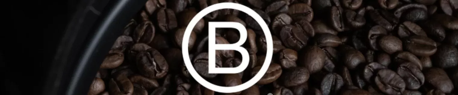 Entreprises et Labellisation B-Corp : Un Engagement vers une Économie Responsable