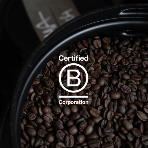 Entreprises et Labellisation B-Corp : Un Engagement vers une Économie Responsable