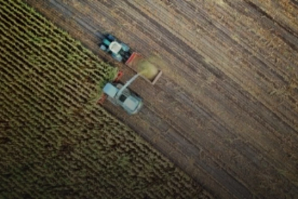 Agriculture