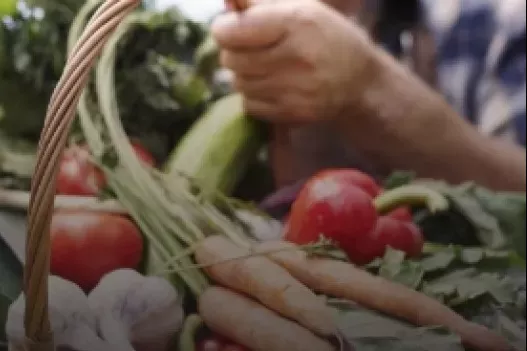 Alimentation