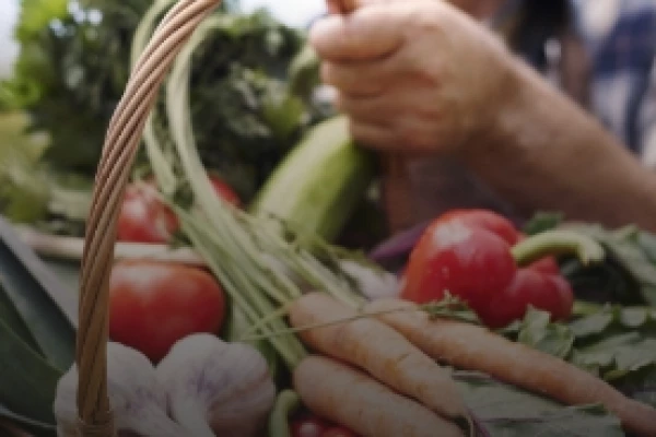 Alimentation