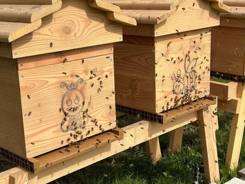 Un projet écologique et éducatif pour l'avenir