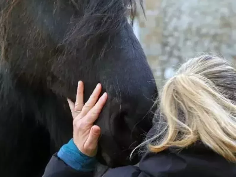 Comprendre le rôle de l'ego et développer l'humilité avec l'équi-coaching