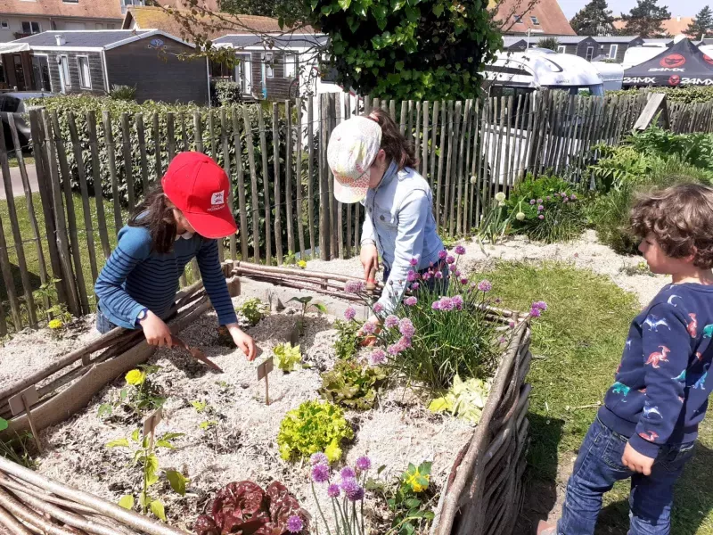 Des actions de sensibilisation à la transition écologique